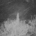 Webcam_20200105-060000