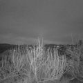 Webcam_20200105-073000