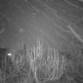 Webcam_20200105-180000
