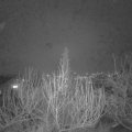 Webcam_20200105-193000