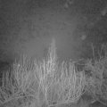 Webcam_20200106-050000