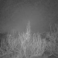 Webcam_20200106-053000