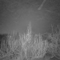 Webcam_20200106-060000