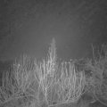 Webcam_20200106-070000