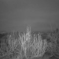 Webcam_20200106-073000