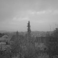 Webcam_20200106-080000