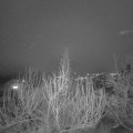 Webcam_20200106-190000