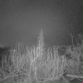 Webcam_20200107-053000
