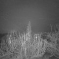 Webcam_20200107-063000