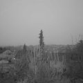 Webcam_20200107-080000