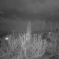Webcam_20200107-203000