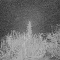 Webcam_20200108-050000