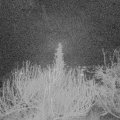 Webcam_20200108-053000