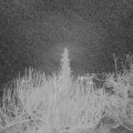 Webcam_20200108-060000
