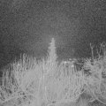 Webcam_20200108-063000