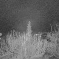 Webcam_20200108-070000