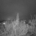 Webcam_20200108-073000