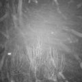 Webcam_20200108-173000