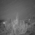 Webcam_20200108-193000