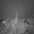Webcam_20200108-203000