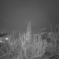 Webcam_20200108-210000