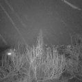 Webcam_20200108-220000