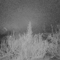 Webcam_20200109-050000