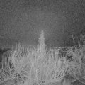 Webcam_20200109-070000