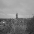 Webcam_20200109-170000