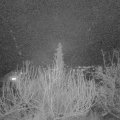 Webcam_20200109-190000