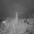 Webcam_20200109-193000