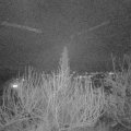Webcam_20200109-210000