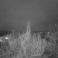 Webcam_20200109-220000