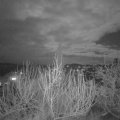 Webcam_20200110-203000