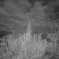 Webcam_20200111-053000