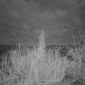 Webcam_20200111-063000