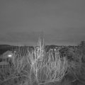 Webcam_20200111-173000