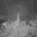 Webcam_20200111-180000