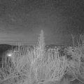 Webcam_20200111-183000