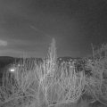 Webcam_20200111-190000