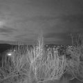 Webcam_20200111-193000