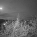 Webcam_20200111-200000
