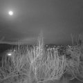 Webcam_20200111-203000