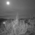 Webcam_20200111-210000