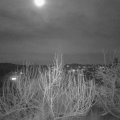 Webcam_20200111-213000
