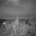 Webcam_20200111-220000