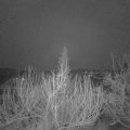 Webcam_20200112-050000
