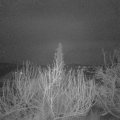 Webcam_20200112-053000