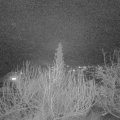 Webcam_20200112-183000
