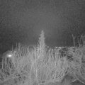 Webcam_20200112-193000
